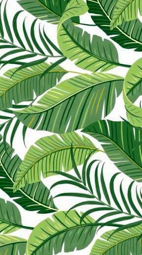 Summer Print Wallpaper In Tropical