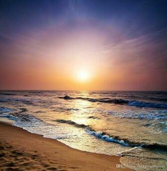 Vinyl Back Drop Photography Background Beach Sunset Scenery