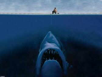 Wallpaper Background Funny Desktop Thechive