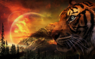Tiger Art HD Artist 4k Wallpaper Image Photos And