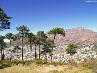 Rental Unlimited Km South Africa Car Long Term Cape
