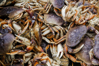 Will Dungeness Crab Be Available For Christmas In California Wallpaper