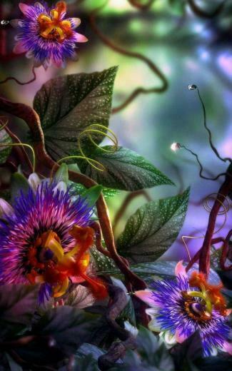 3d Flowers Wallpaper iPhone iPhonewallpaper Flower Art