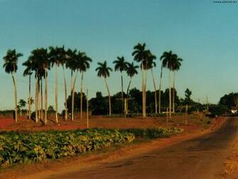 Cuba Wallpaper