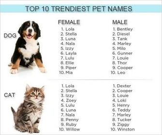 Girls Names Widescreen Wallpaper