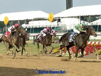 Horse Racing Wallpaper