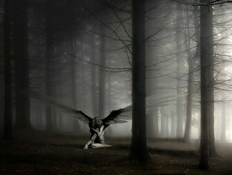 New Art Funny Wallpaper Jokes Dark Fantasy