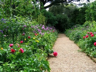 Garden Pictures For Background