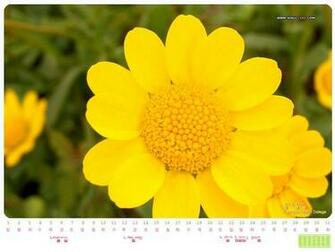 May Calendar Wallpaper
