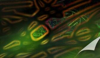 Cell Biology Wallpaper