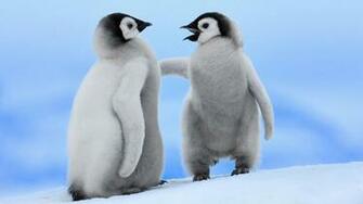 Penguin Wallpaper Best