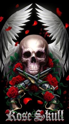 Skull Pictures Ideas Art