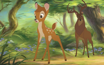 Bambi HD Wallpaper Background Image