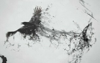 Flying Raven Artwork Wallpaper Wallpaperlepi