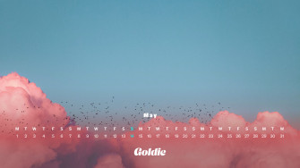 May Calendar Wallpaper Desktop Mobile