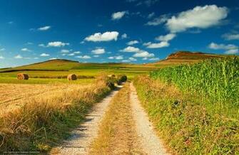 Wallpaper Country Road Nature Field Rick Desktop
