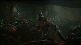 Ant Man With Ants Wallpaper