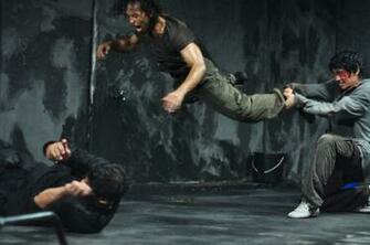 The Raid Martial Arts Action Crime Thriller