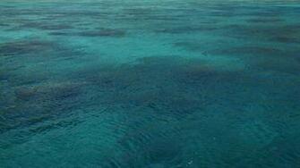 Ocean Wallpaper Background High Definition