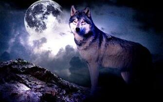 3d Wolf Wallpaper Android Apps On Google Play