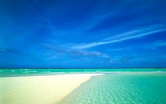 Beach Ocean The Wallpaper Wallpaper55 Best