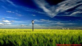 HD Widescreen Screensavers Wallpaper Background