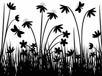 Black And White Vector Flowers Wallpaper World