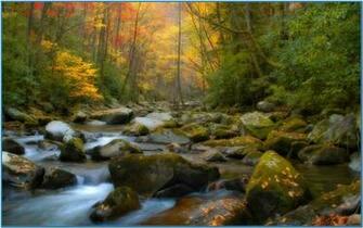Screensaver Nature Scenes