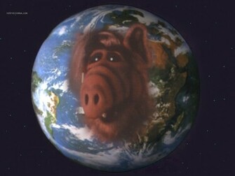 Alf Wallpaper La Srie Tv