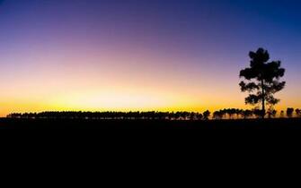 Beautiful Sky Wallpaper