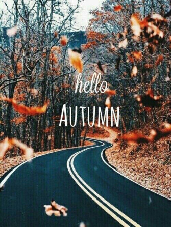 66150668d0bd41bbdad1ff9f49d99297 Wallpaper