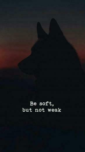 Funniest Inspirational Quotes Best Funny Memes Image So