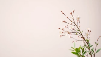 Minimal Spring Wallpaper