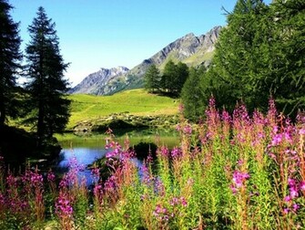 Spring Scenes Desktop Wallpaper HD Background Of Your