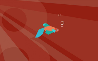 Red Betta Fish HD Awsome Background Wallpaper Windows