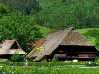 Black Forest Germany Wallpaper