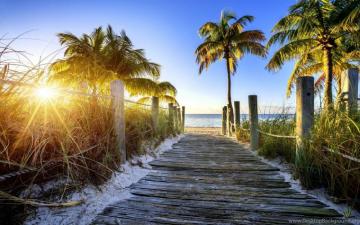Florida Desktop Wallpaper Top