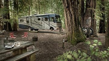Rv Background On