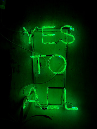 Neon Green Pictures Image
