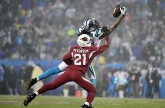 Nfl Nfc Wild Card Playoff Arizona Cardinals At Carolina Panthers