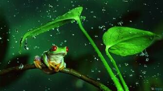 Rainy Day Awesome Wallpaper6
