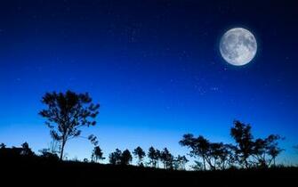 Good Night Wallpaper Pack Flgx Db