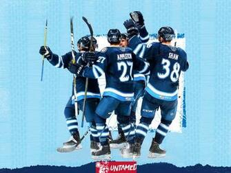 Wallpaper Manitoba Moose