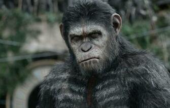 Wallpaper Monkey Caesar Chimpanzees Planet Of