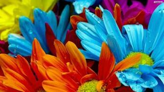 Youwall Summer Flowers Wallpaper
