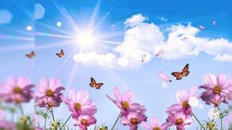 Summer Scene Wallpaper