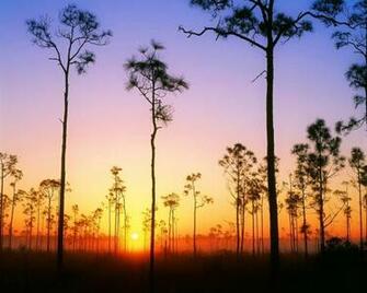 Everglades National Park Wallpaper