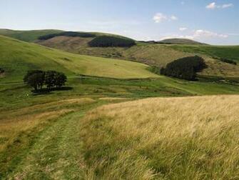 Northumbrian Image Cheviot Hills Northumberland