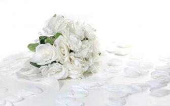 White Rose Background