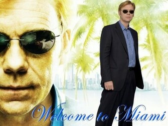 David Caruso Wallpaper Photos Image Pictures